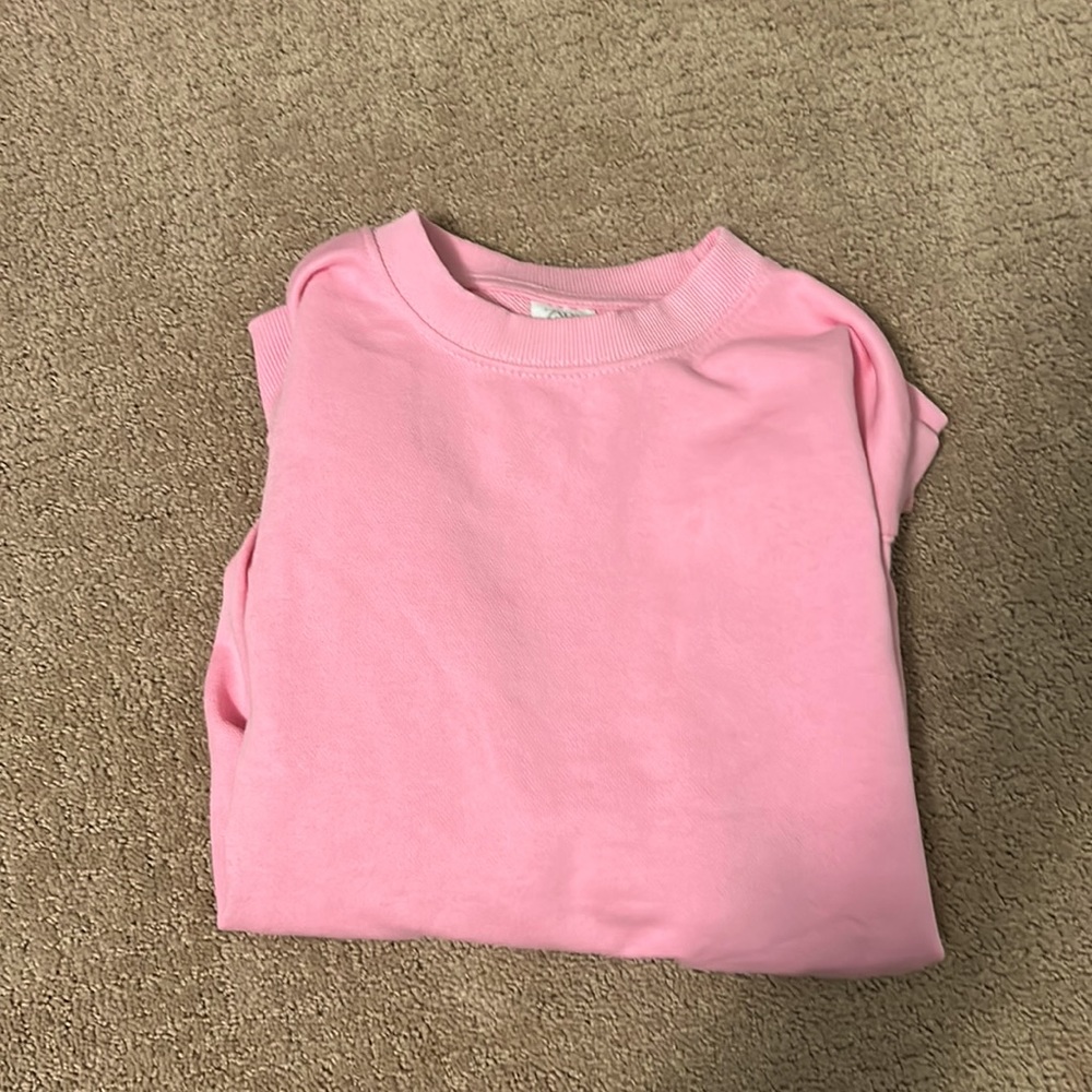 It is a kids crewneck that’s pink from Zara it is size 11-12 it is so cute.